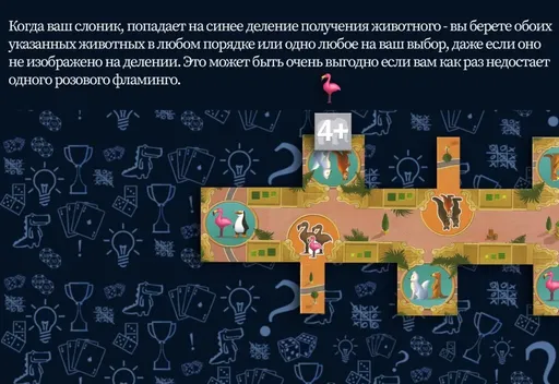 Зоопарк Нью-Йорка - центральное поле и получение животных