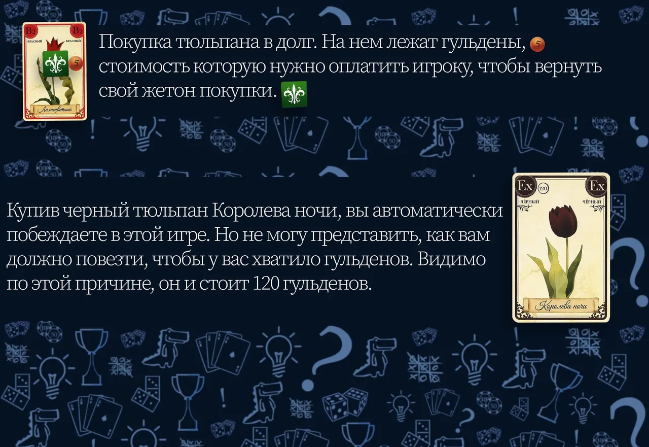 Тюльпаномания - черный тюльпан Королева ночи и покупка в долг