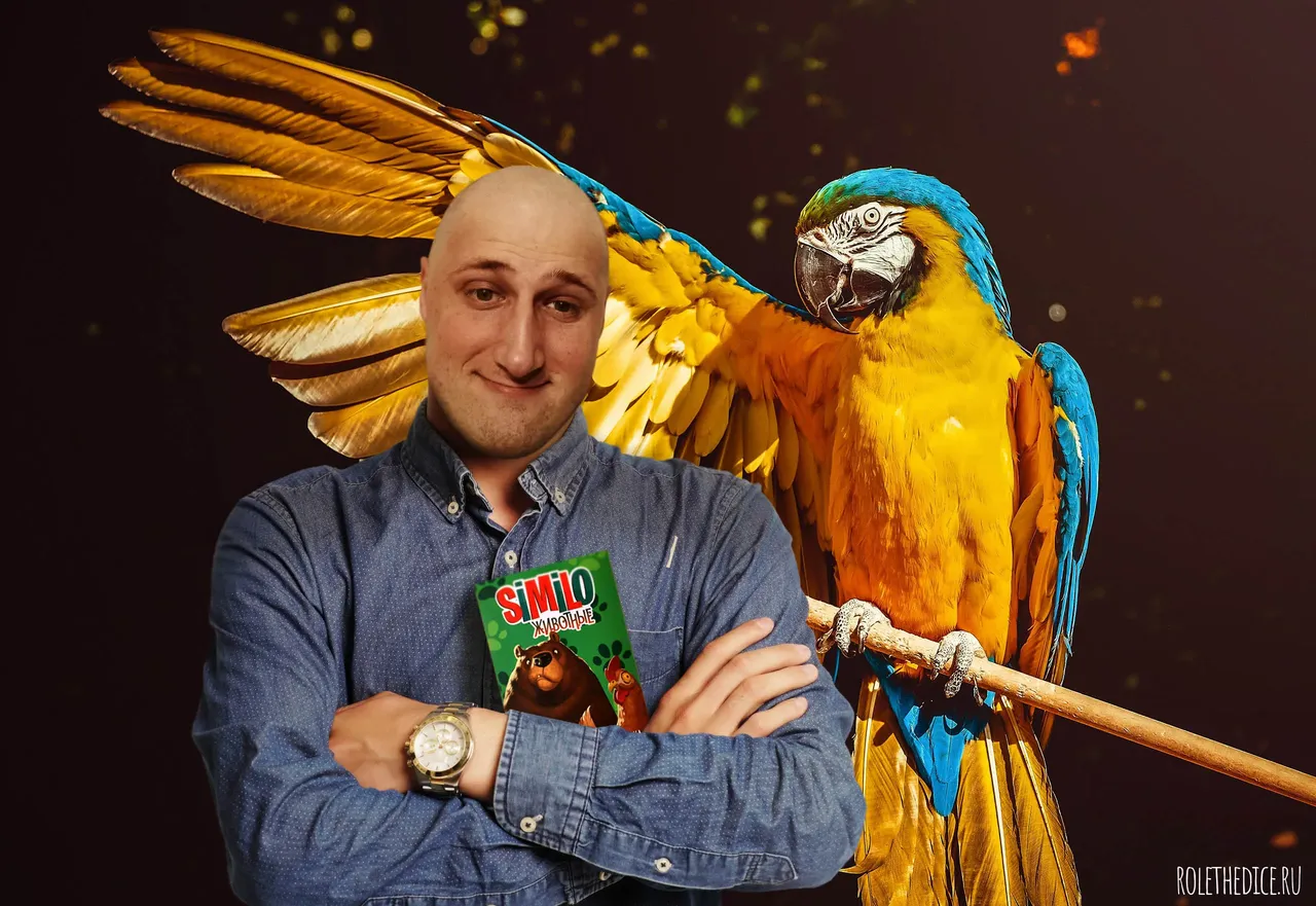 Similo: Животные - обложка настольной игры