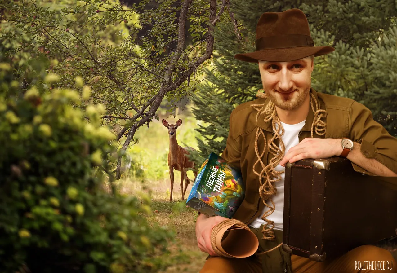 Лесные тайны - обложка настольной игры