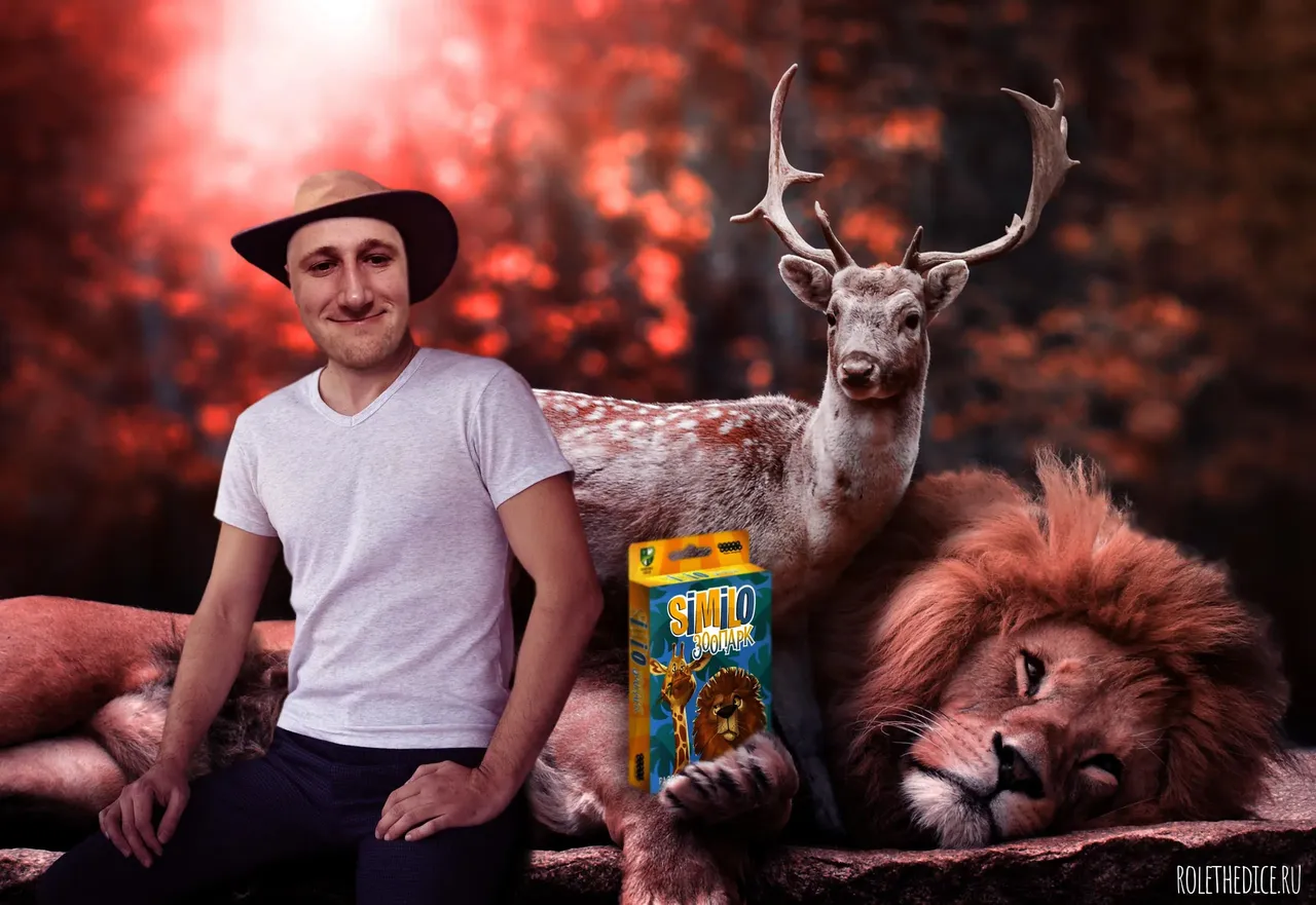 Similo: Зоопарк - обложка настольной игры